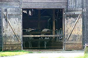 05